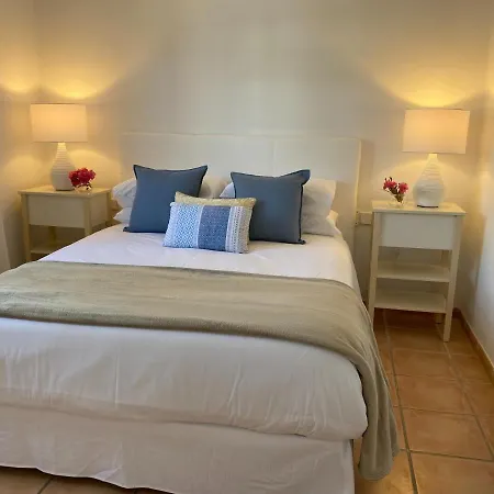 Tabaibas Puerto del Carmen (Lanzarote)