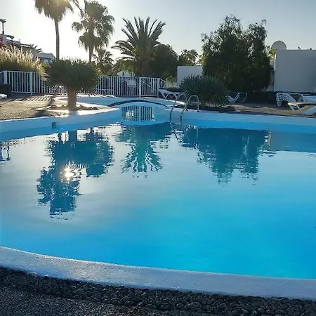 Tabaibas Puerto del Carmen (Lanzarote)