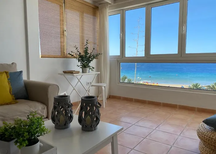 Tabaibas * Puerto del Carmen (Lanzarote)